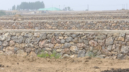 泰安新泰市樓德鎮 土地整理賦能特色產業，繪就鄉村振興新畫卷