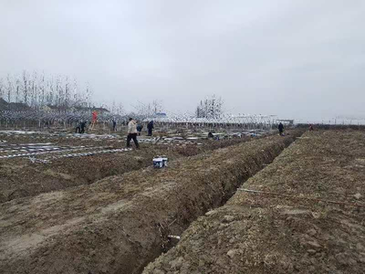 平整土地迎春耕 共創'姜'來好'錢'景 房地產開發