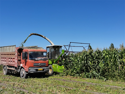 烏魯木齊市米東區 防疫生產雙線并進 農產品運輸銷售與房地產開發共繪發展藍圖